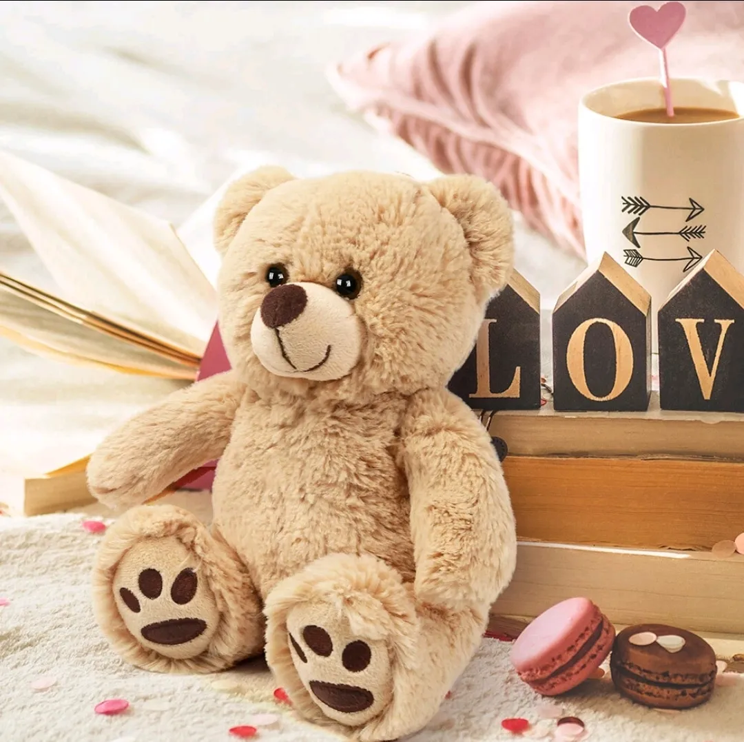 Cuddle Teddy Bear